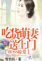 将军与丫头剧情介绍