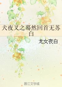 书记硬办女乡长剧情介绍