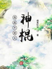 蓝忘机魏无羡避尘play剧情介绍