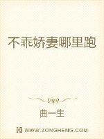 内衣办公室骑士剧情介绍