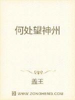 抗战开局娶了金陵十三钗的小说剧情介绍