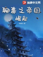 黑星女侠全文剧情介绍