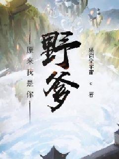 武心剧情介绍