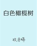 白洁传全文免费读全文剧情介绍