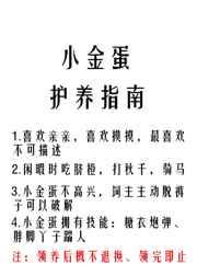 高中教师剧情介绍