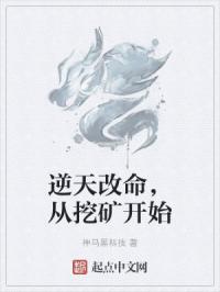 良心无悔剧情介绍