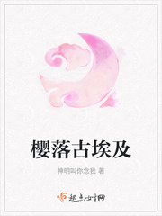 亮钻大师剧情介绍