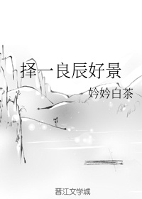 沈浪苏若雪免费章节剧情介绍