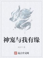 龙与虎OVA：便当的精髓剧情介绍